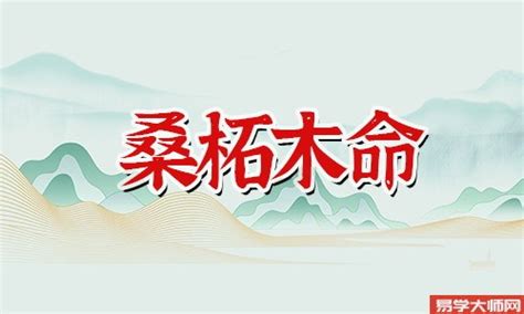 桑松土命五行|桑柘木命